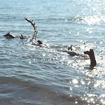 Bed & Breakfast Pierilu' Grosseto